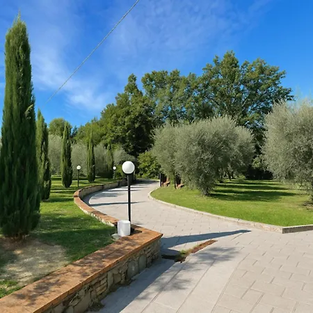 Diamante Lamporecchio